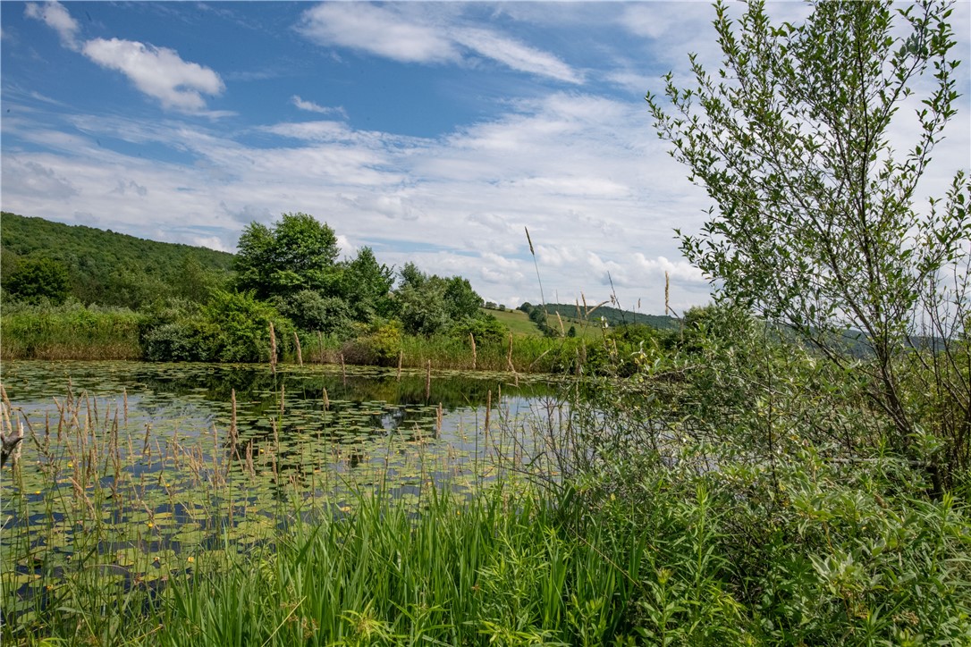 2690 Freer Hollow Road Franklin, NY 13856 - Photo 31 of 35