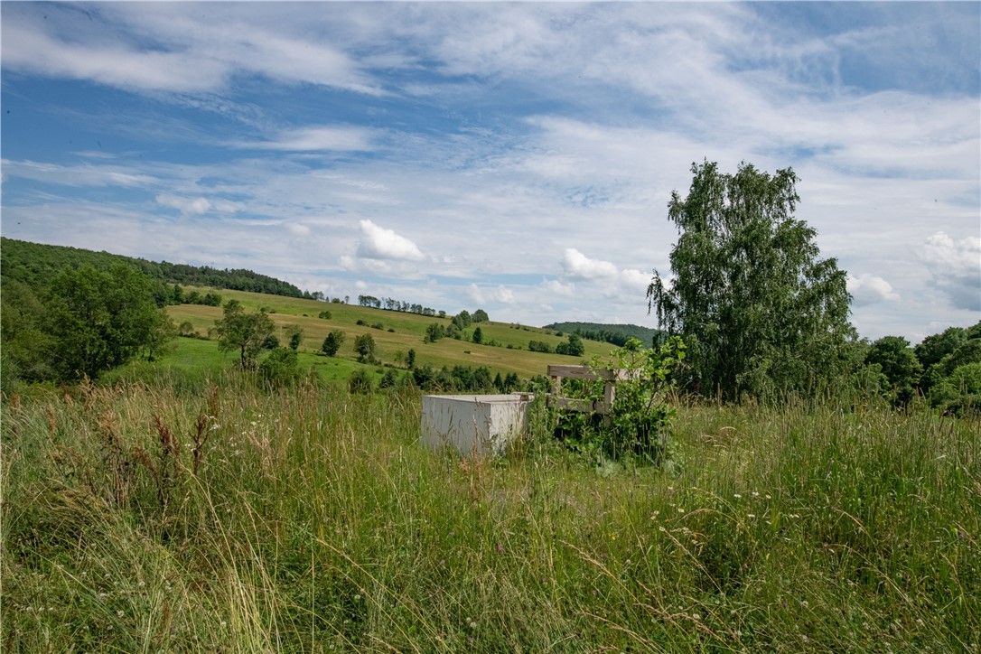 2690 Freer Hollow Road Franklin, NY 13856 - Photo 32 of 35