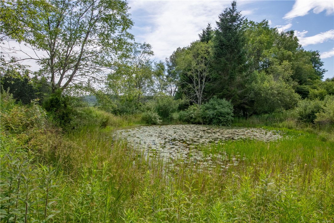 2690 Freer Hollow Road Franklin, NY 13856 - Photo 34 of 35