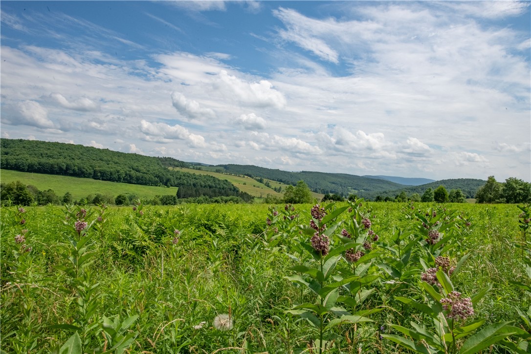 2690 Freer Hollow Road Franklin, NY 13856 - Photo 4 of 35
