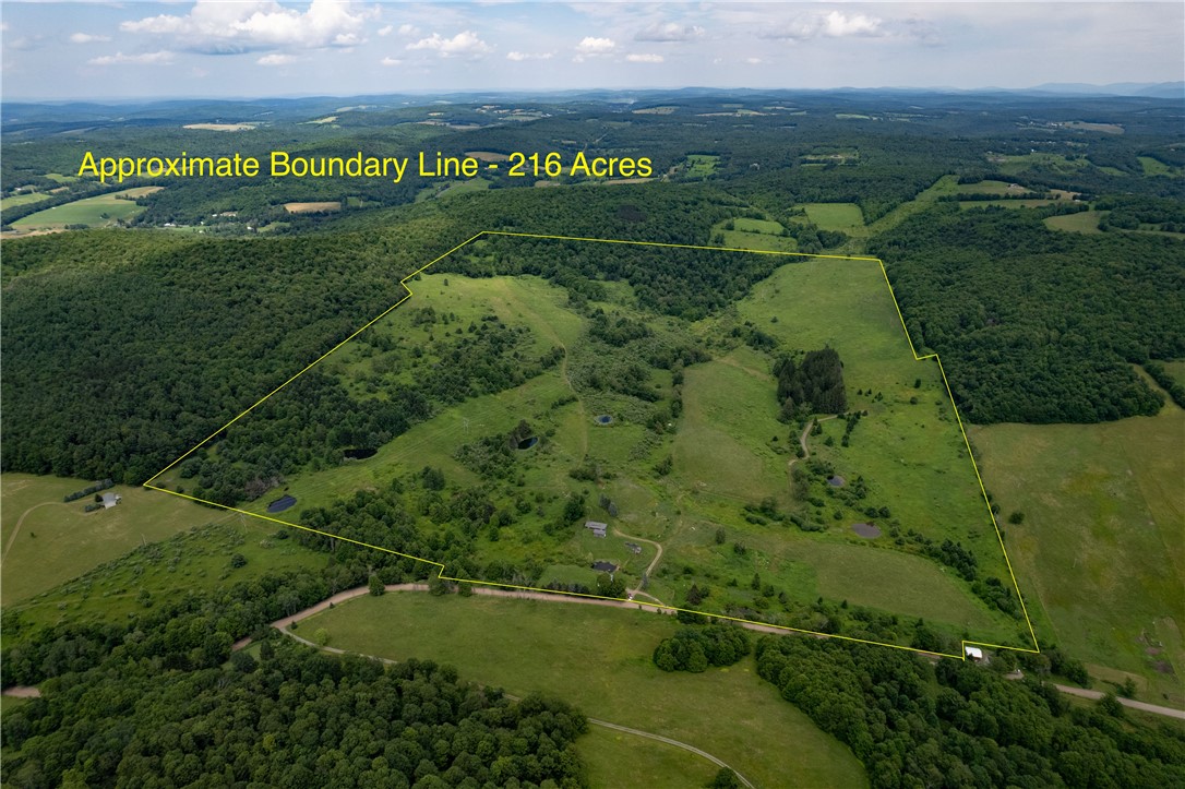 2690 Freer Hollow Road Franklin, NY 13856 - Photo 5 of 35