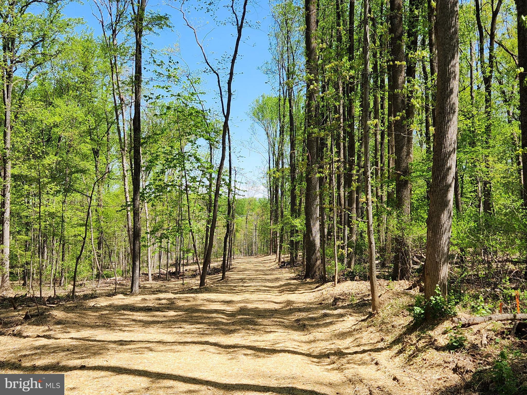 145 Prospect Rd Mount Mount Airy, MD 21771 - Photo 1 of 15 Over 6 acres in Mount Airy!