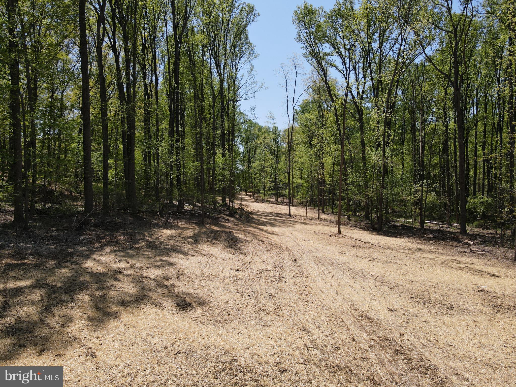 145 Prospect Rd Mount Mount Airy, MD 21771 - Photo 11 of 15