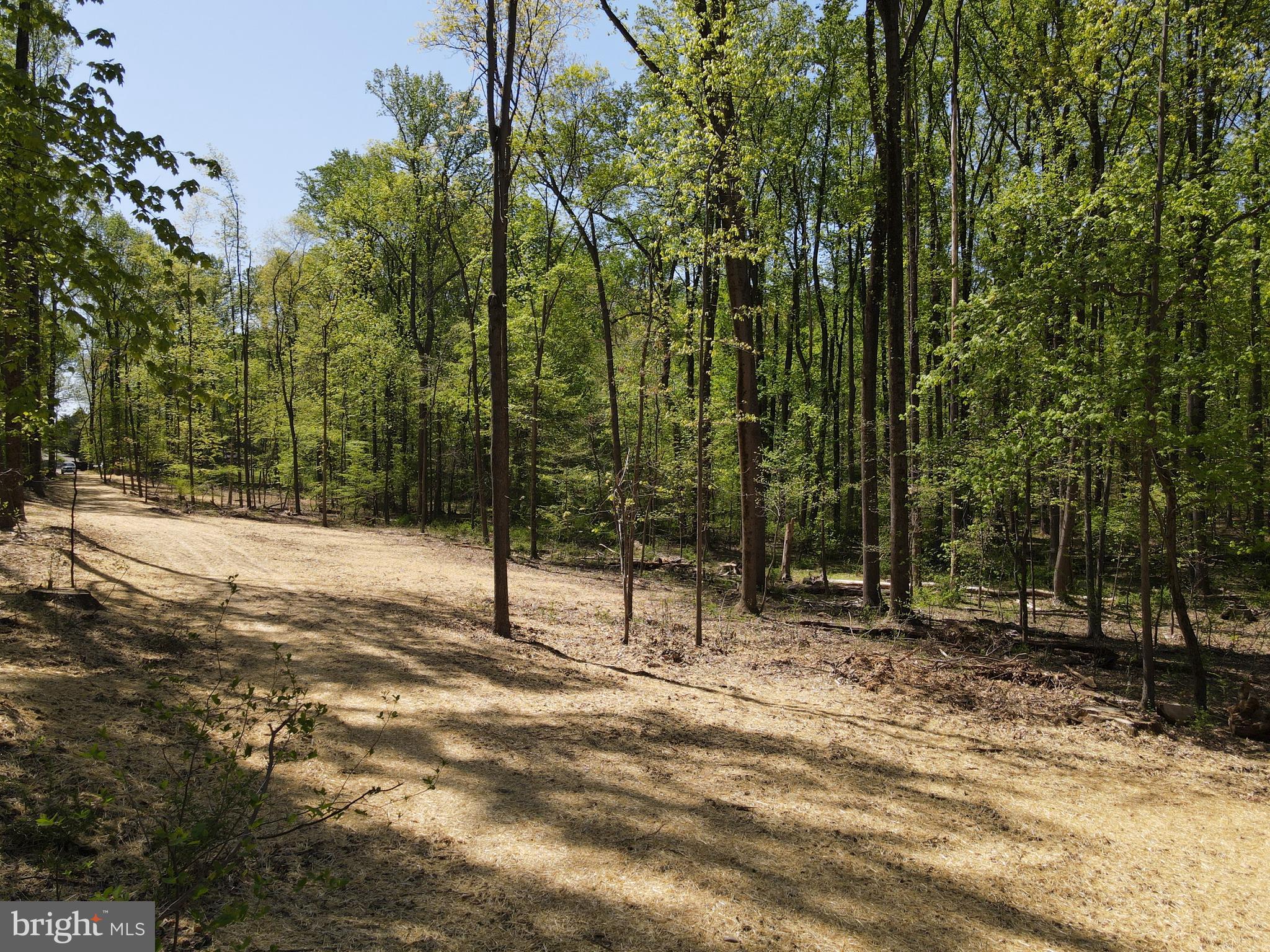 145 Prospect Rd Mount Mount Airy, MD 21771 - Photo 12 of 15 Proposed Home Site