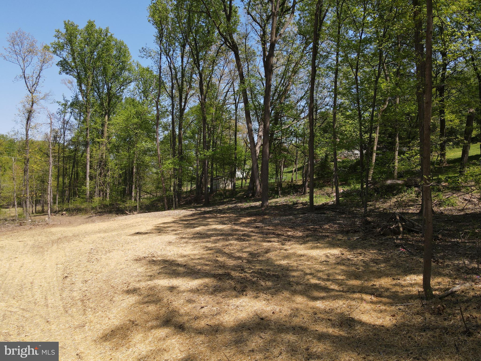 145 Prospect Rd Mount Mount Airy, MD 21771 - Photo 14 of 15