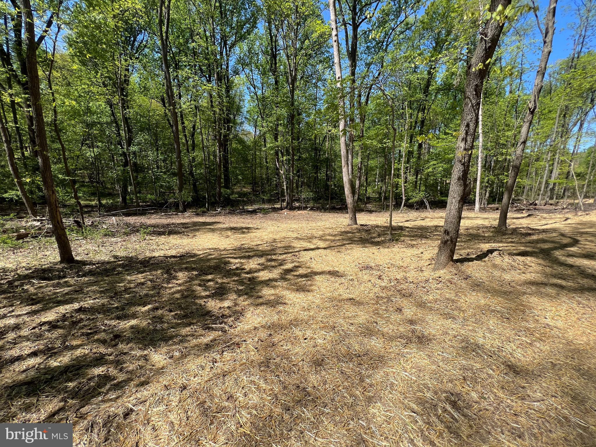 145 Prospect Rd Mount Mount Airy, MD 21771 - Photo 2 of 15