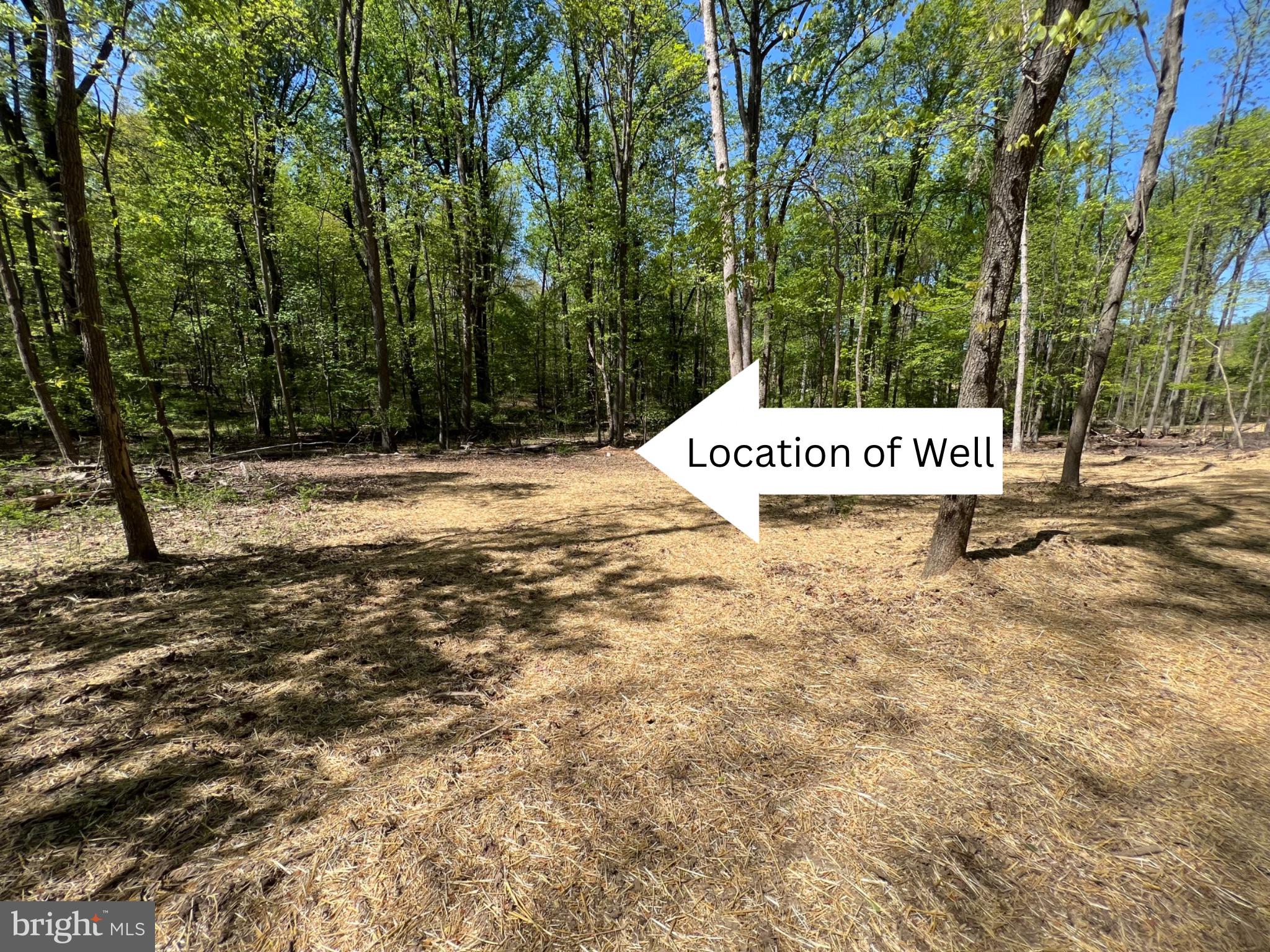 145 Prospect Rd Mount Mount Airy, MD 21771 - Photo 3 of 15 Drilled Well on site