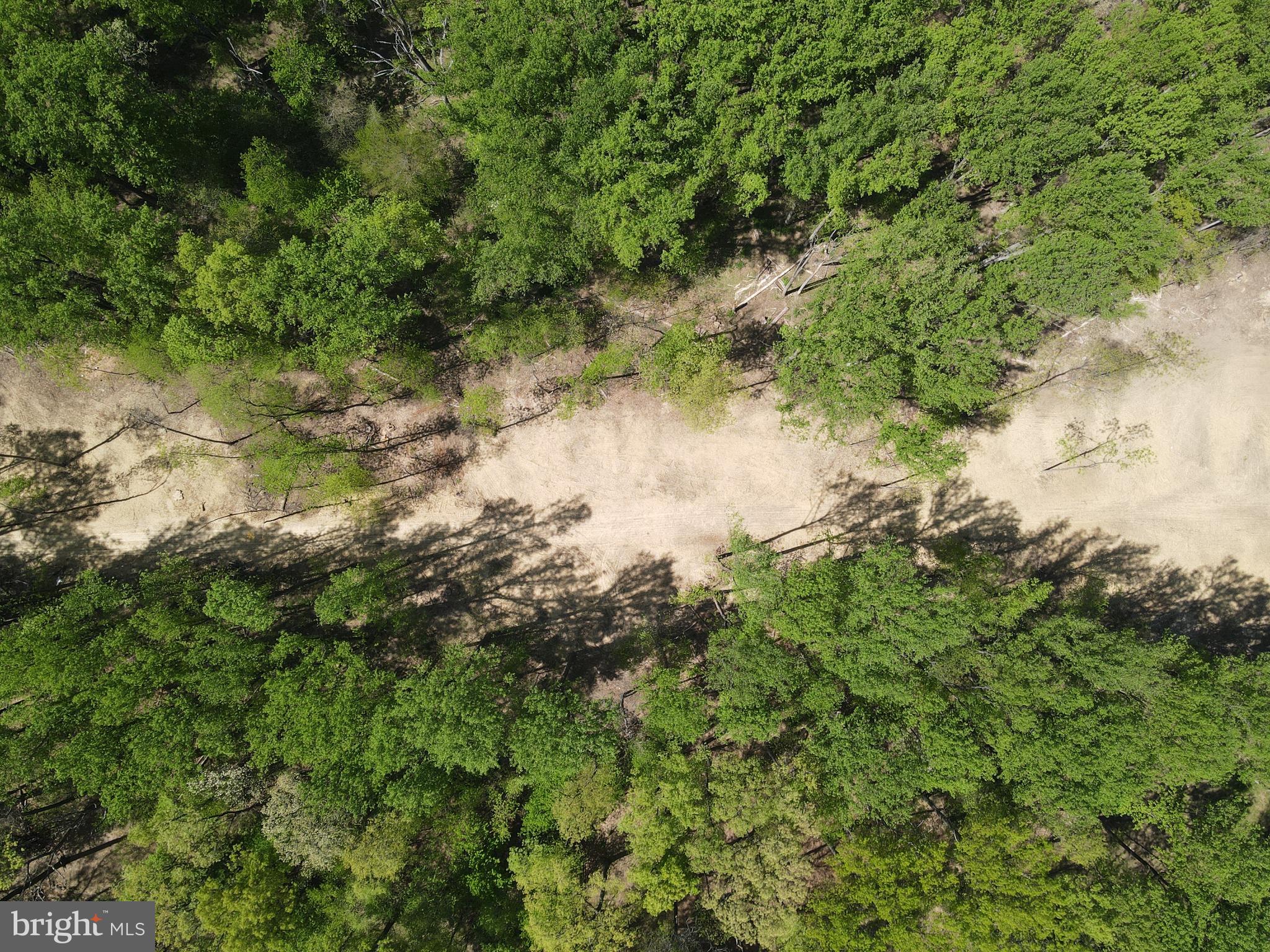 145 Prospect Rd Mount Mount Airy, MD 21771 - Photo 8 of 15 Proposed home site in the middle space