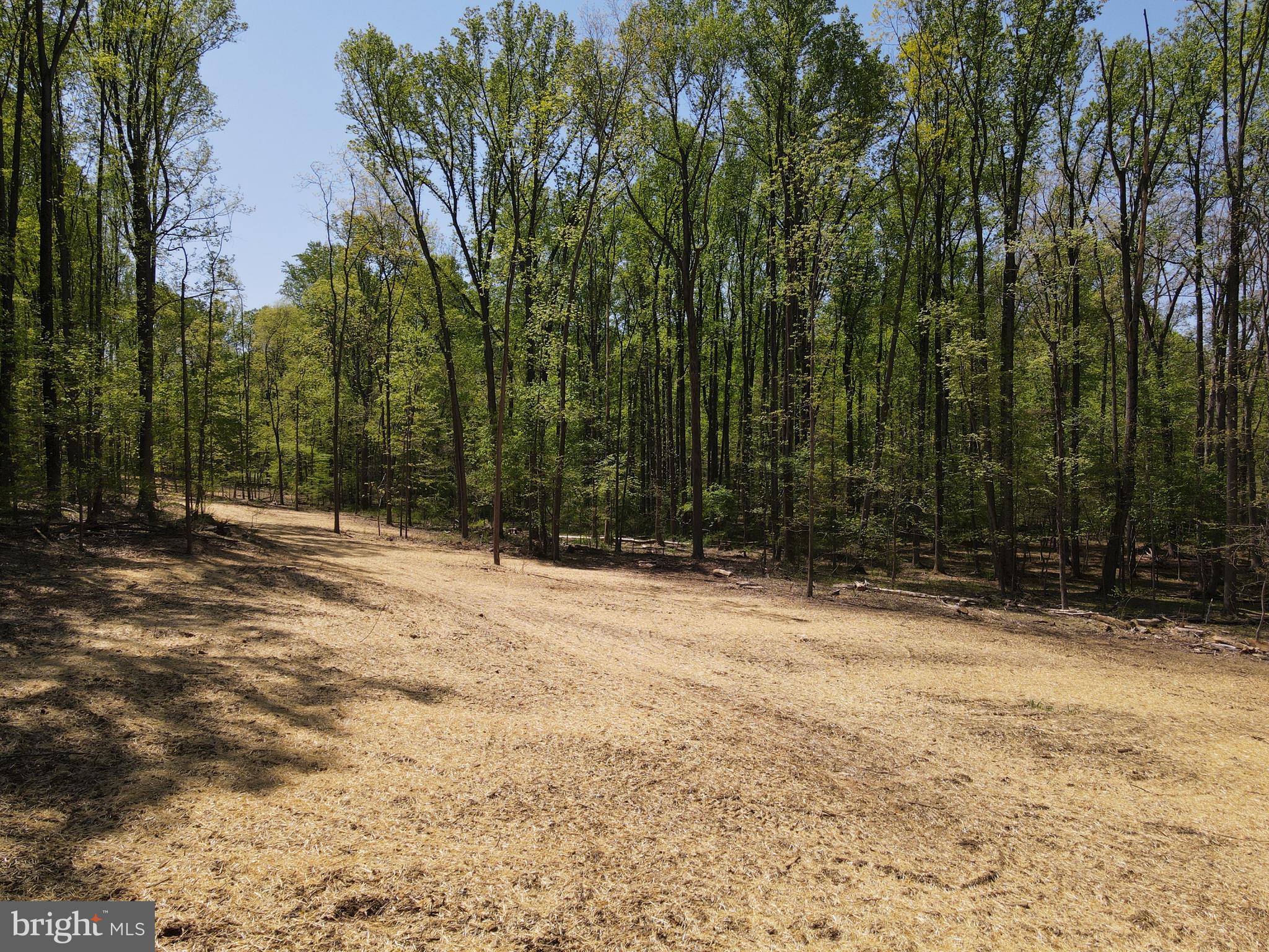 145 Prospect Rd Mount Mount Airy, MD 21771 - Photo 10 of 15 Open space in rear of yard