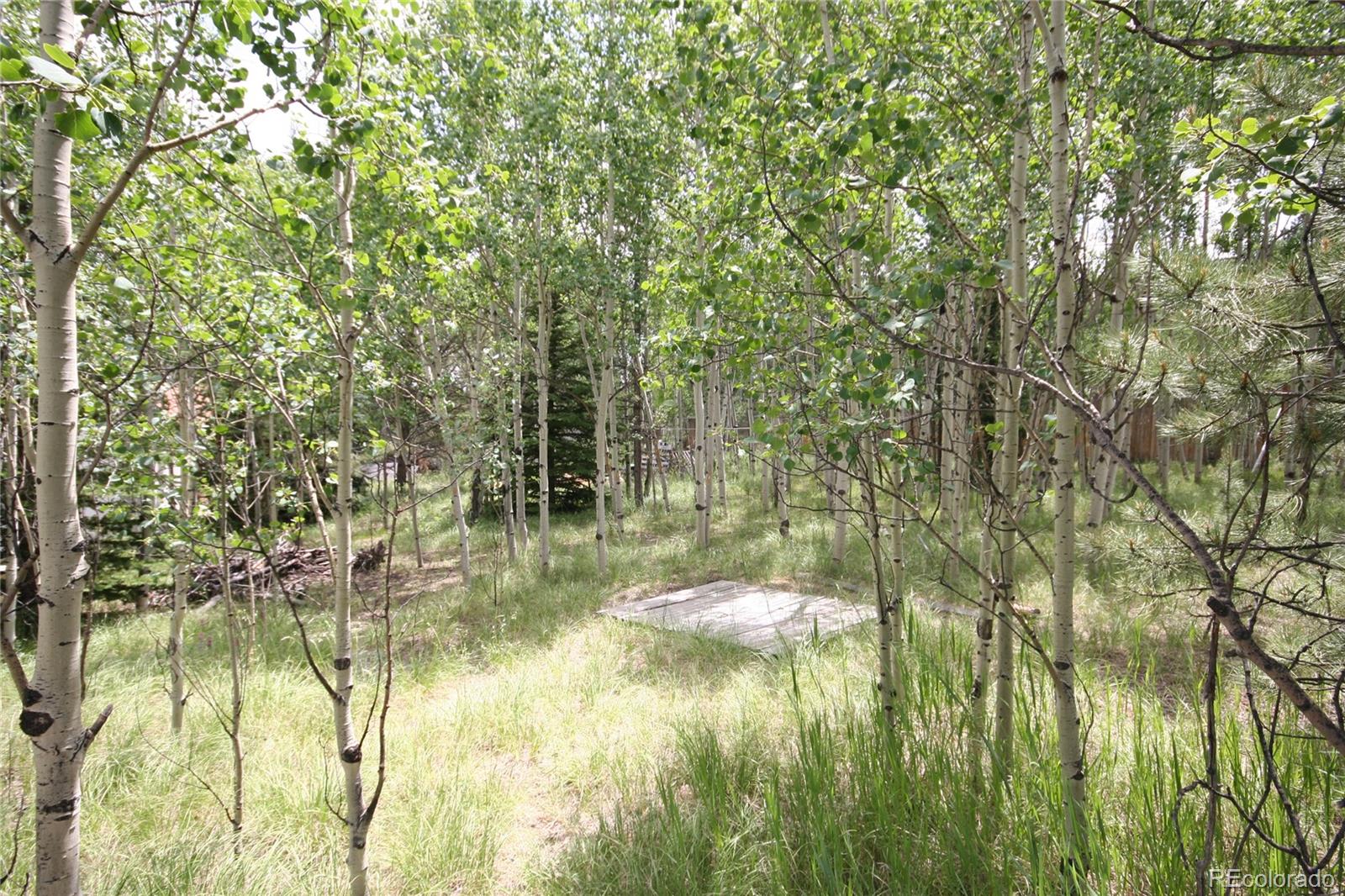 300 Bartimous Road Bailey, CO 80421 - Photo 6 of 24 Gallery Image 6