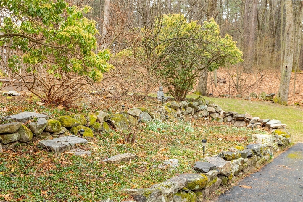 103 Newtown Road Acton, MA 01720 - Photo 38 of 42 a view of a yard with a tree