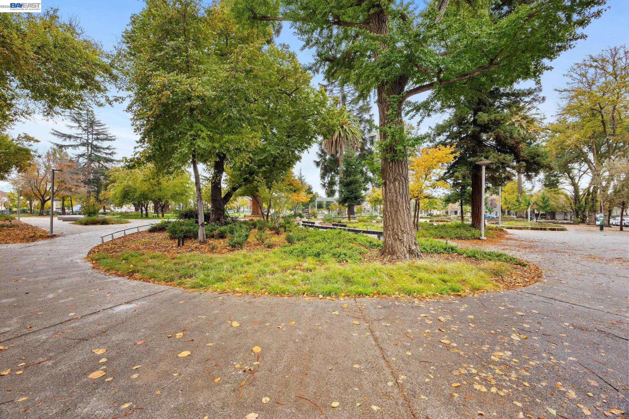 22111 Prospect Street Hayward, CA 94541 - Photo 65 of 70 a view of outdoor space with trees