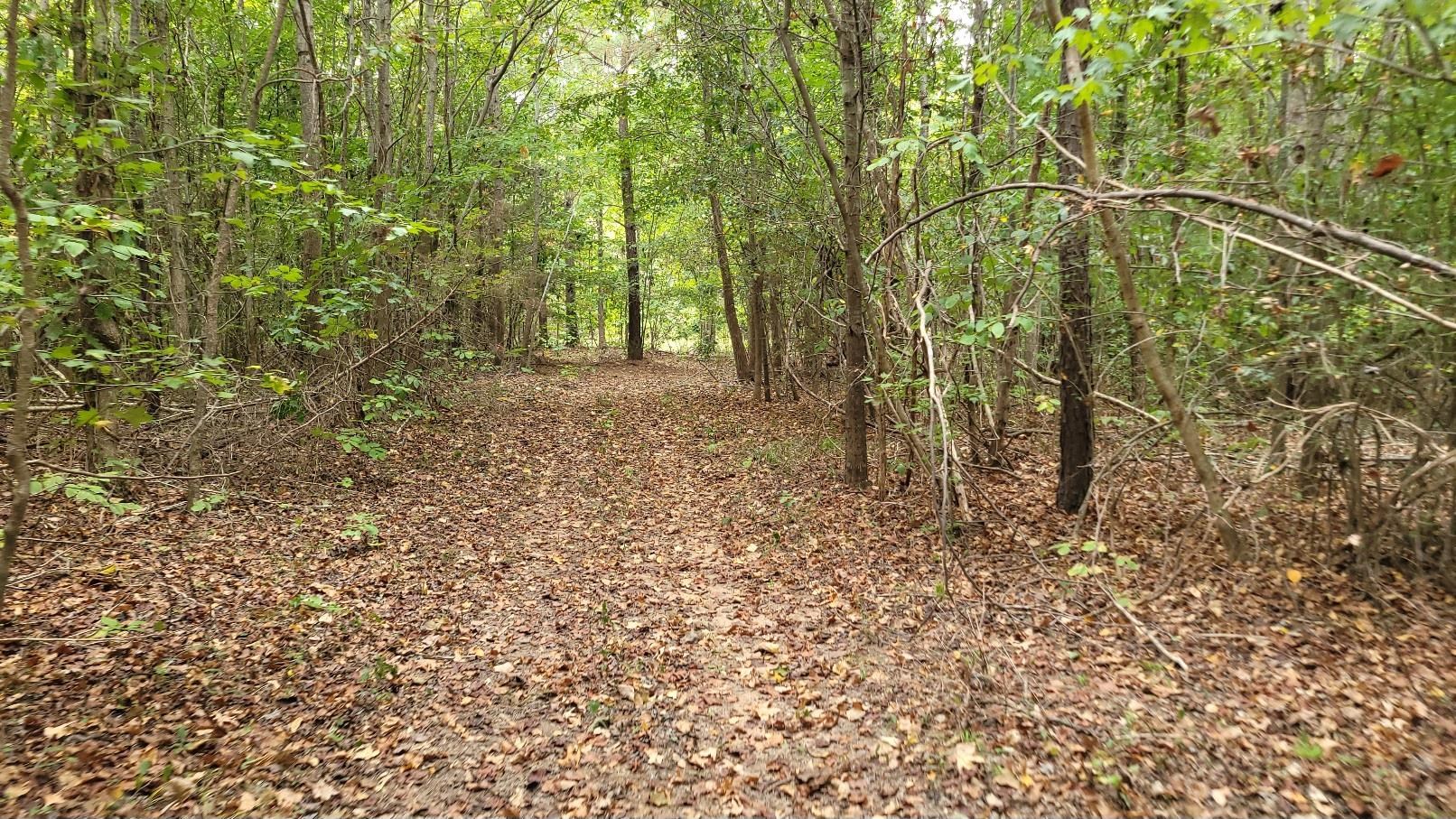 1263 Penland Road Laurens, SC 29360 - Photo 34 of 40 Gallery Image 34