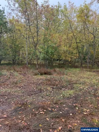 $99,900 | 0400362 Mountain Home Drive, Brownsville, OR 97327