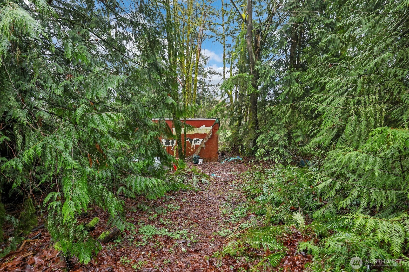 18226 Southeast 164th Street Renton, WA 98058 - Photo 29 of 36