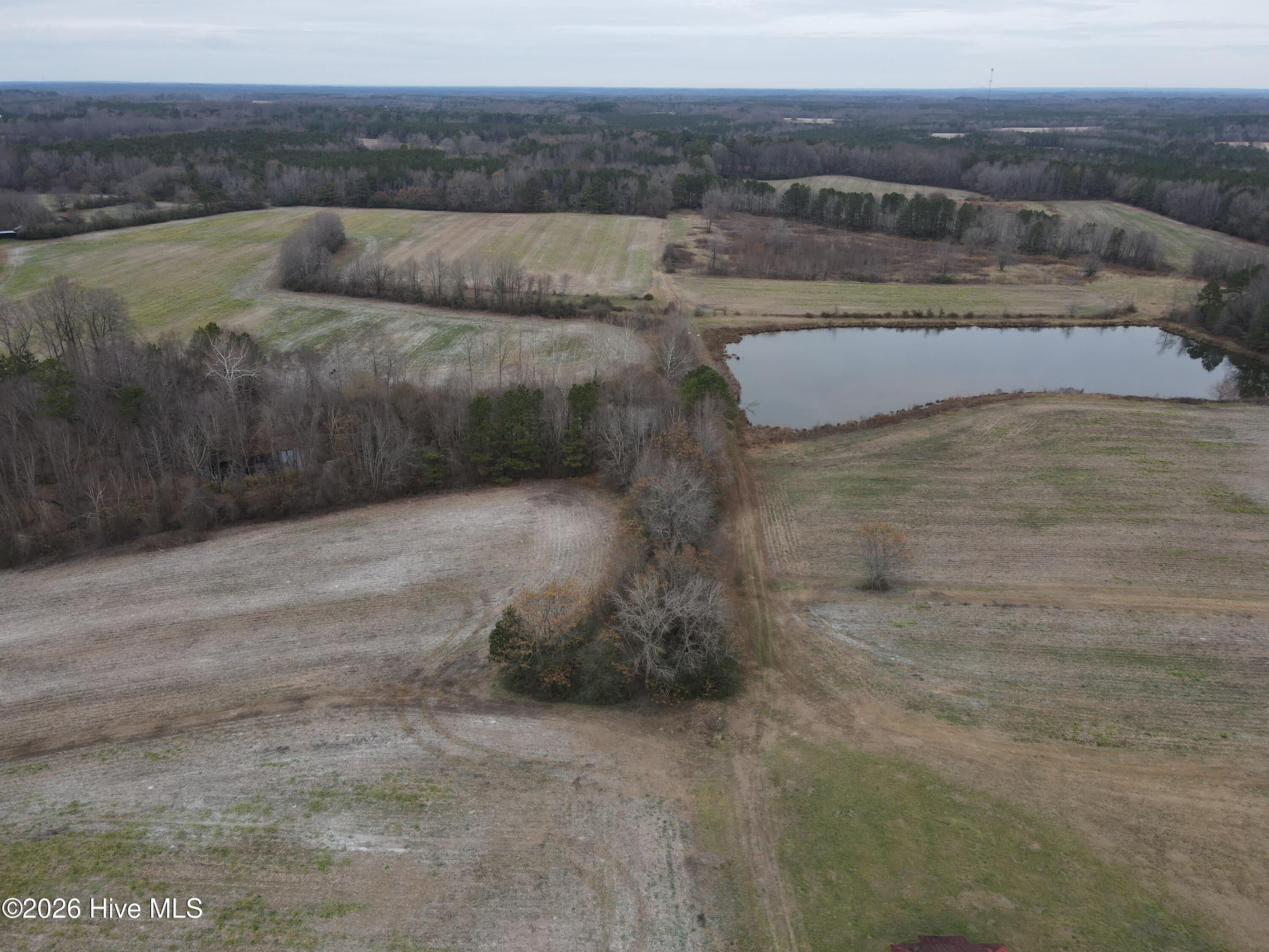 8201 Cedar Grove School Loop Road Nashville, NC 27856 - Photo 23 of 68 CG MLS 23