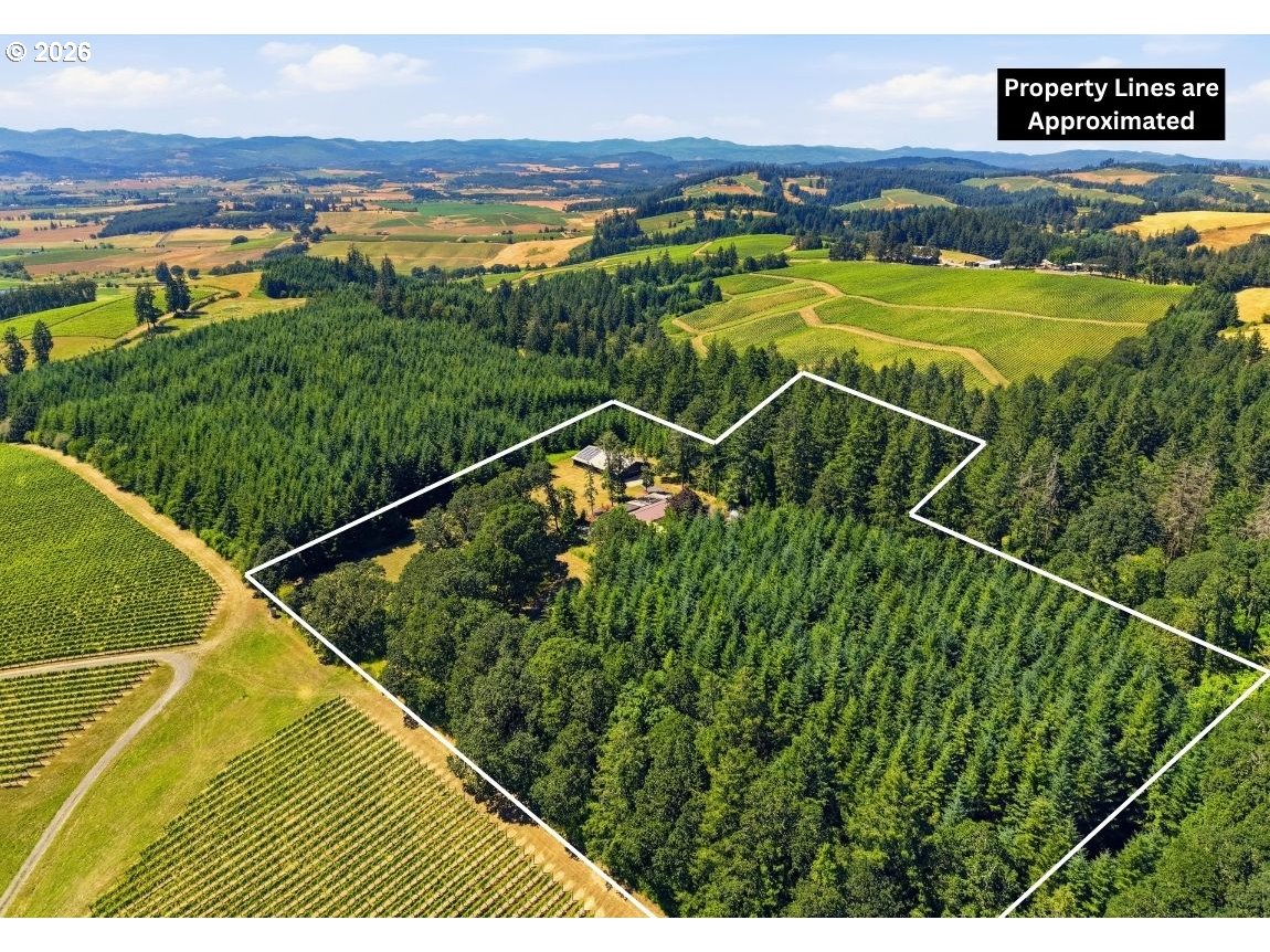 17340 Northeast Woodland Loop Road Yamhill, OR 97148 - Photo 41 of 46 Drone View/UAV