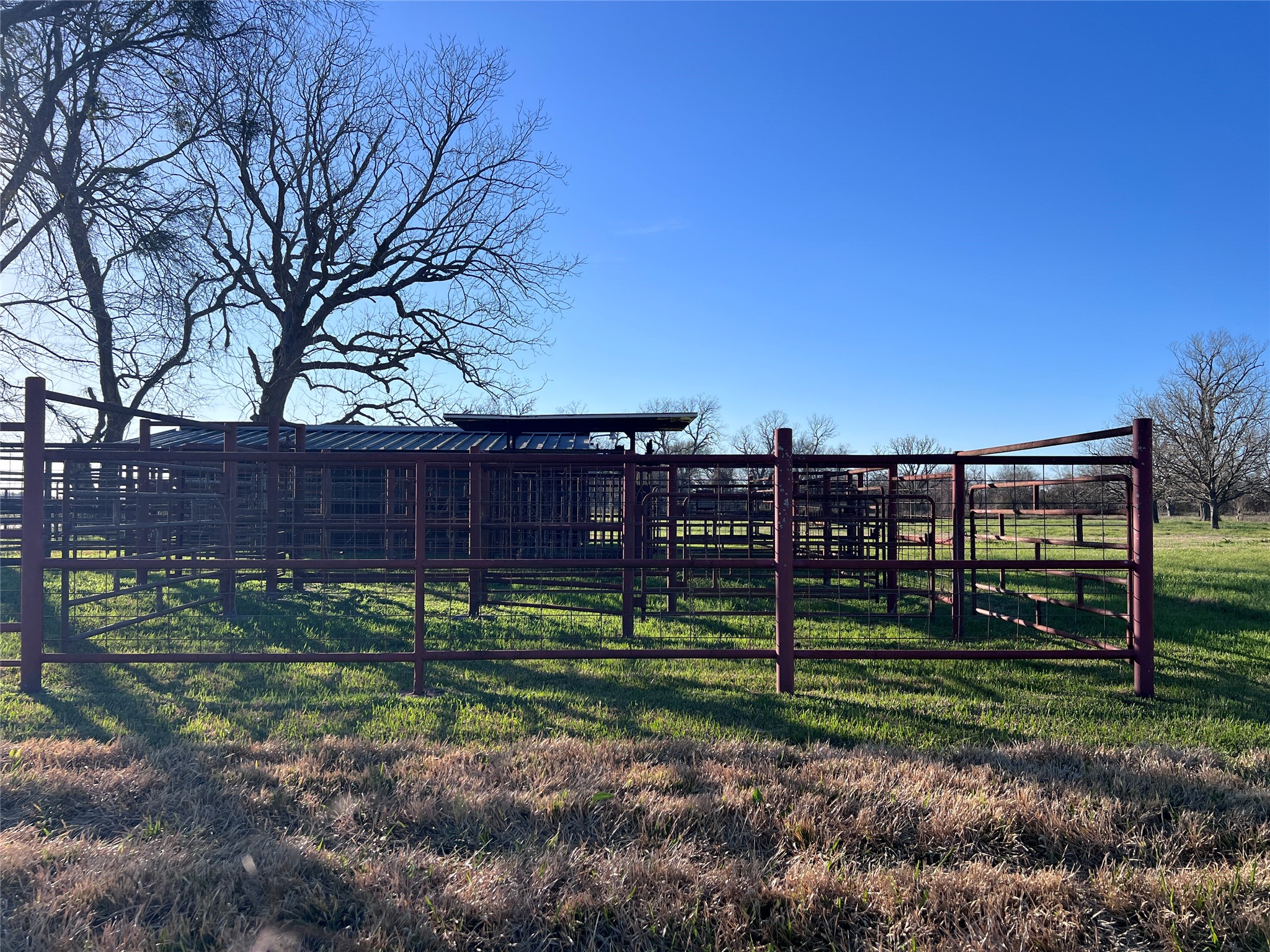 8439 Fm 442 Boling, TX 77420 - Photo 39 of 49