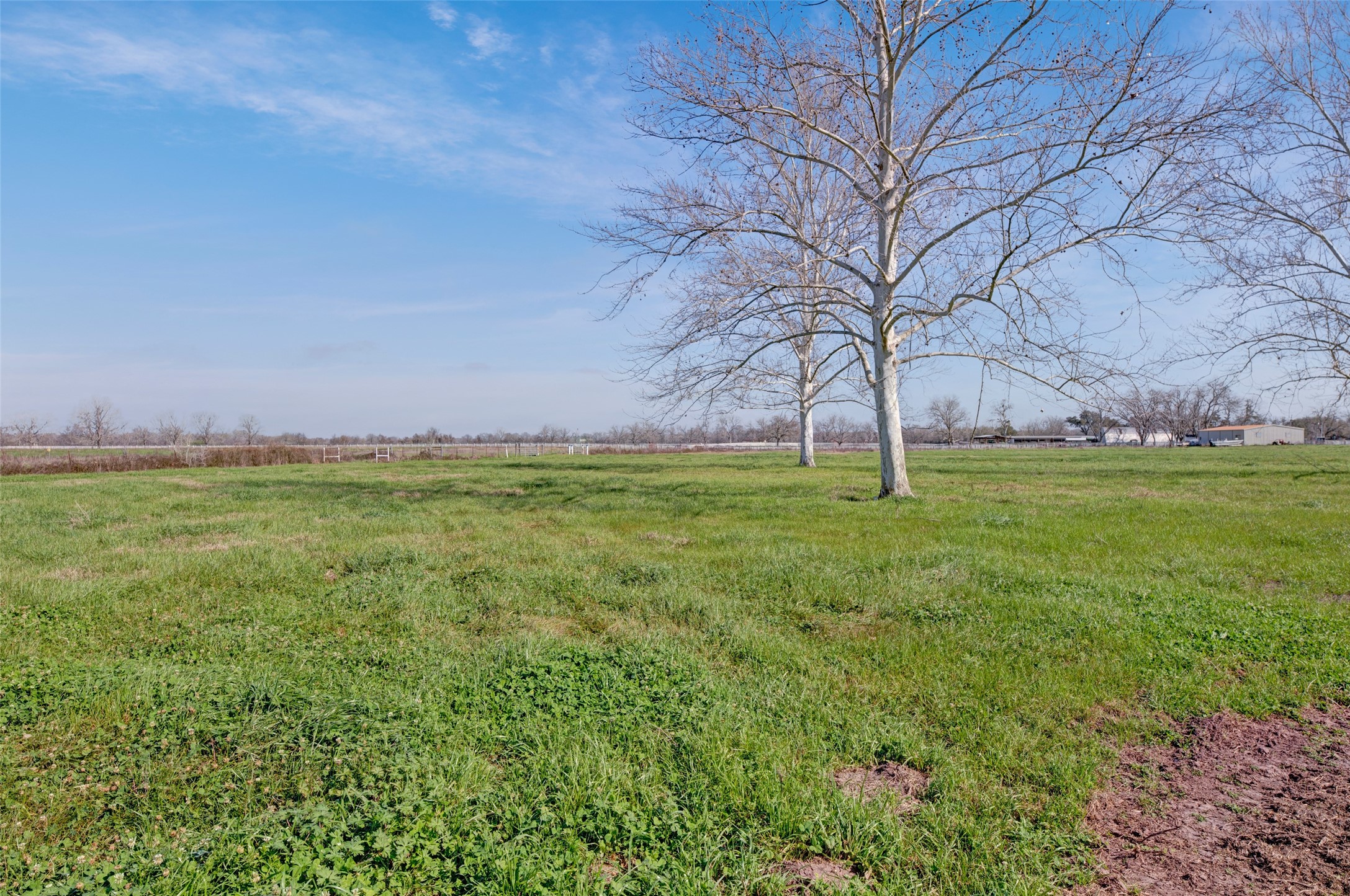 8439 Fm 442 Boling, TX 77420 - Photo 45 of 49