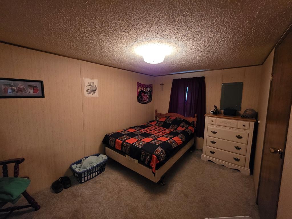 339 Britton Ford Road Springville, TN 38256 - Photo 14 of 26 Gallery Image 14
