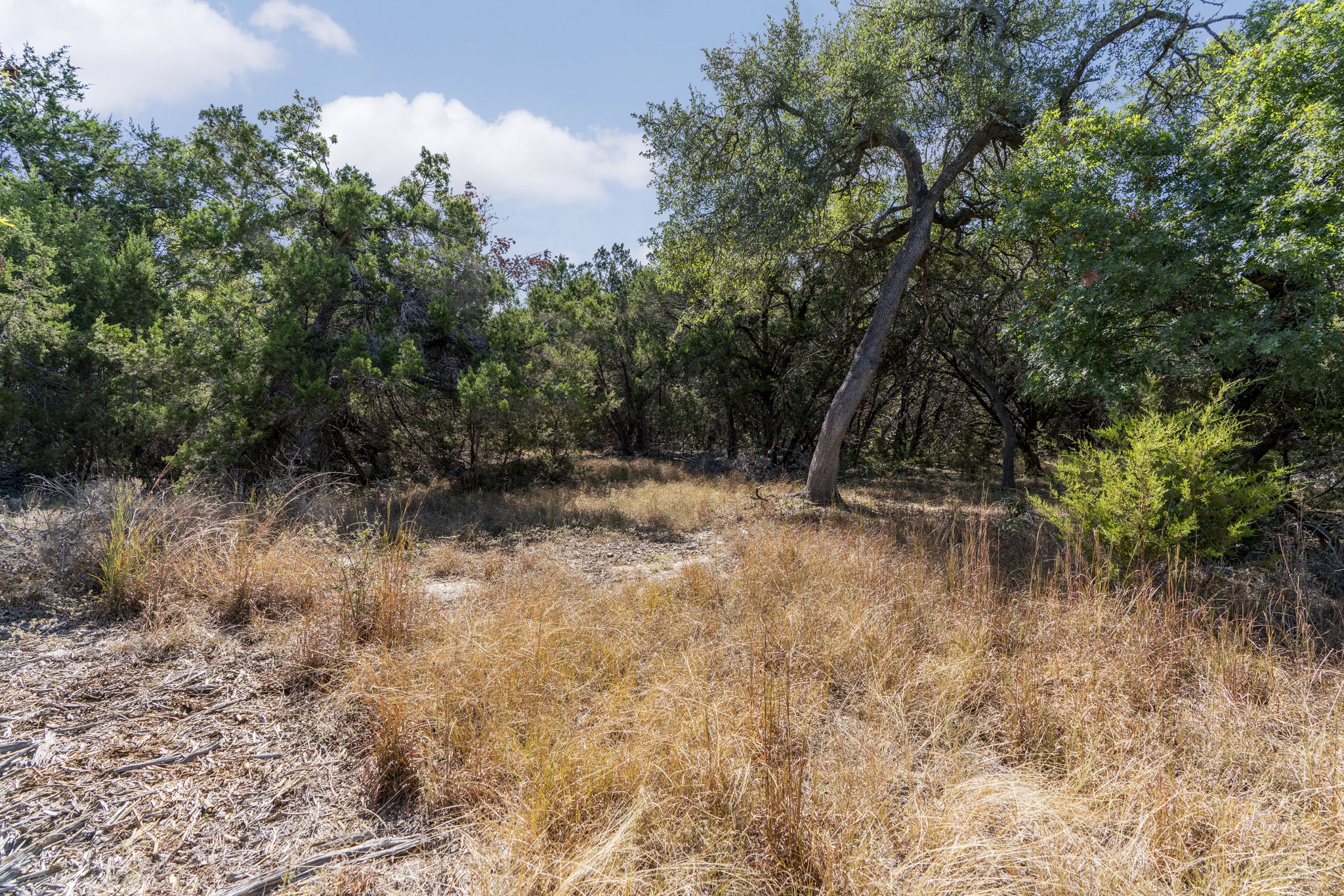 1930 South Rainbow Ranch Road Wimberley, TX 78676 - Photo 27 of 40