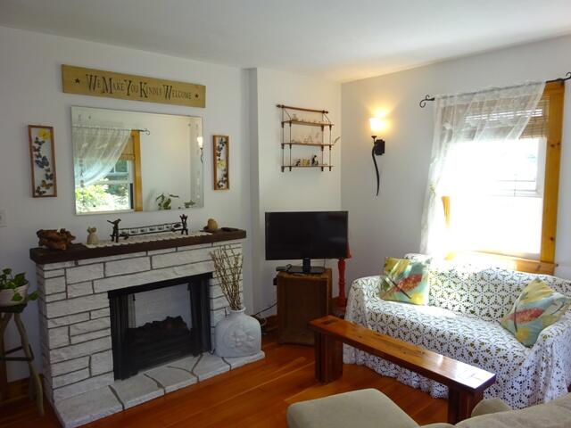 13 Old Salt Works Road Buzzards Bay, MA 02532 - Photo 17 of 49 a living room with furniture and a fireplace