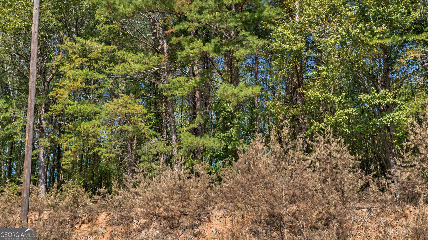 1 Lees Bridge Road Delta, AL 36258 - Photo 9 of 23 Gallery Image 9