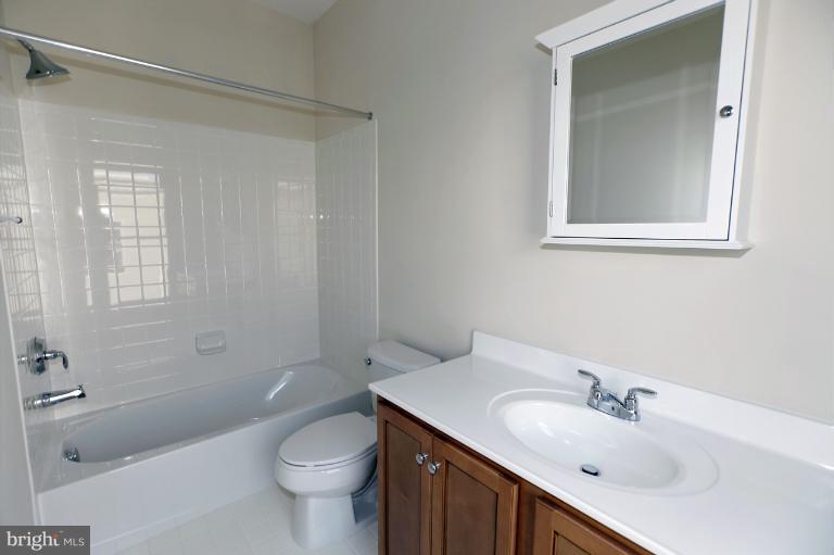 915 4th Street Southeast Washington, DC 20003 - Photo 9 of 24 a bathroom with a sink a toilet and shower