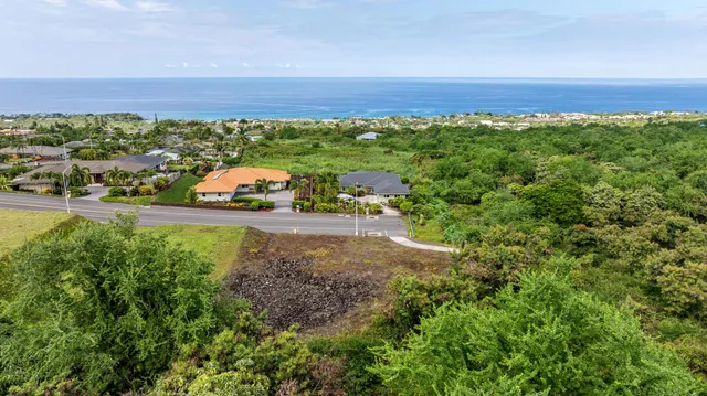 an aerial view of a houses with a yard and lake view