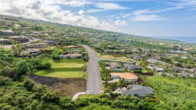 an aerial view of residential houses with outdoor space and trees