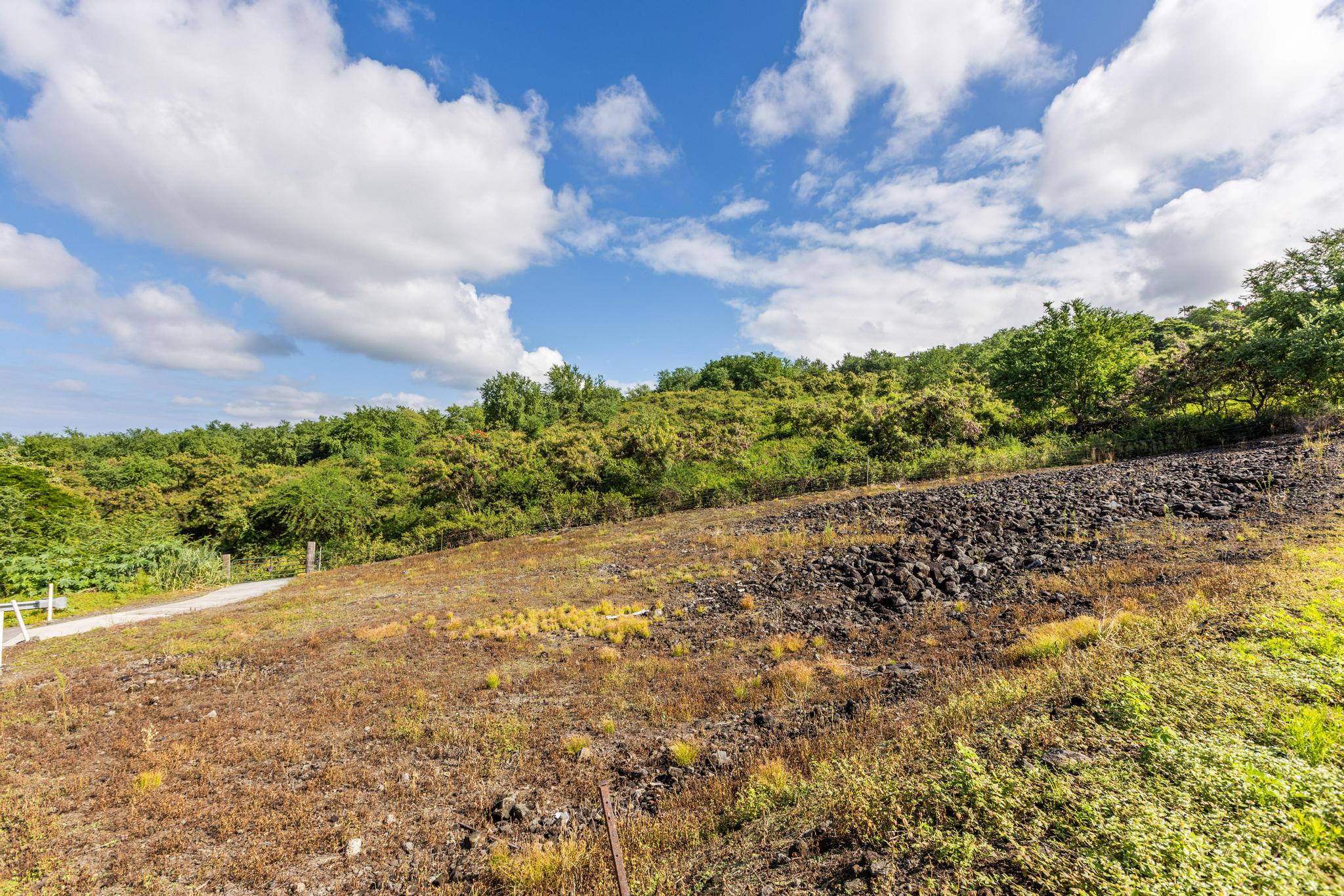 76-4328 Kekuanaoa Place Kailua-Kona, HI 96740 - Photo 7 of 27 a view of a garden with a pathway