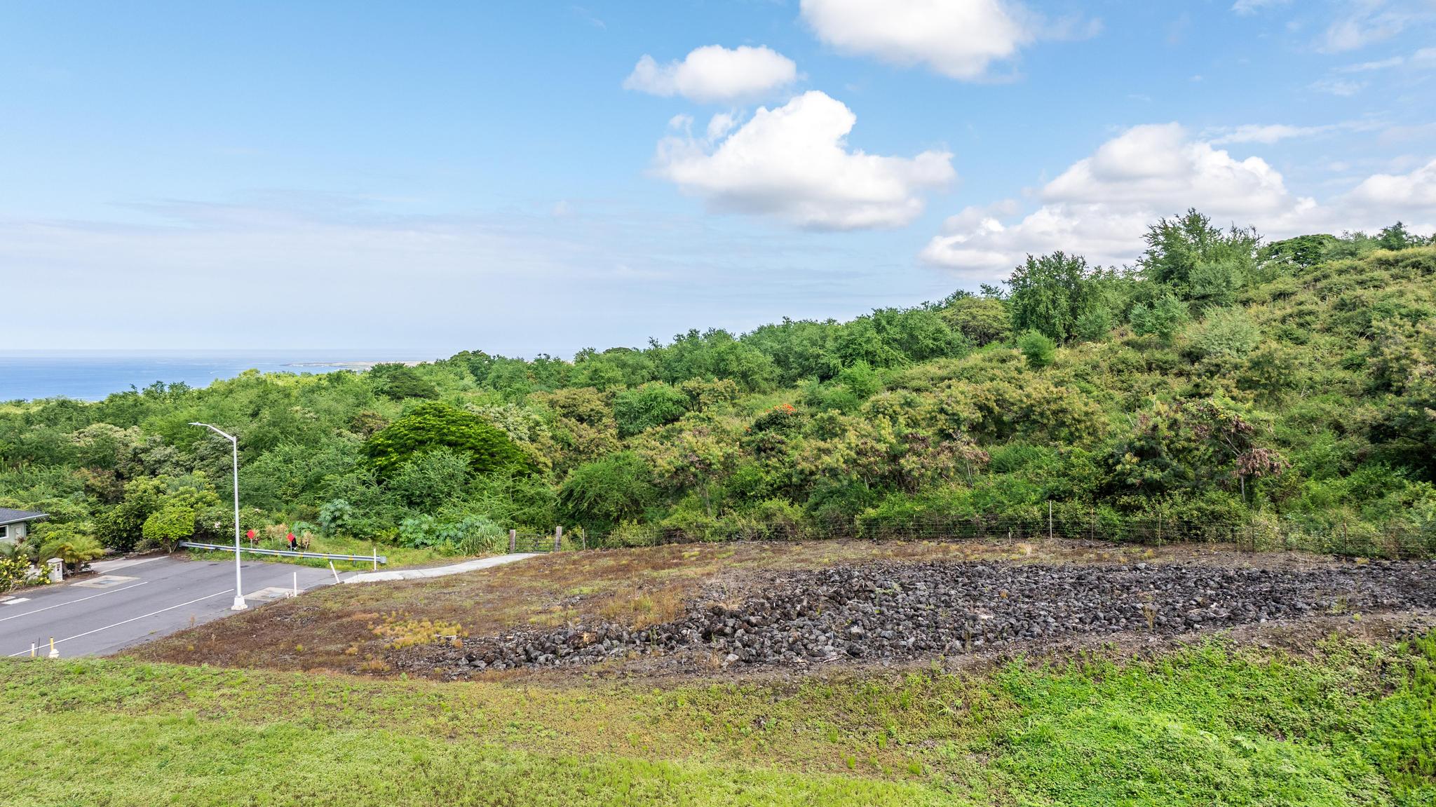76-4328 Kekuanaoa Place Kailua-Kona, HI 96740 - Photo 9 of 27 a view of a yard with an tree
