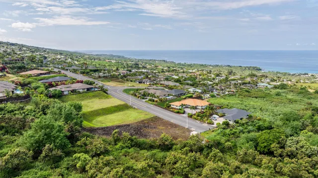 an aerial view of residential houses with outdoor space and trees