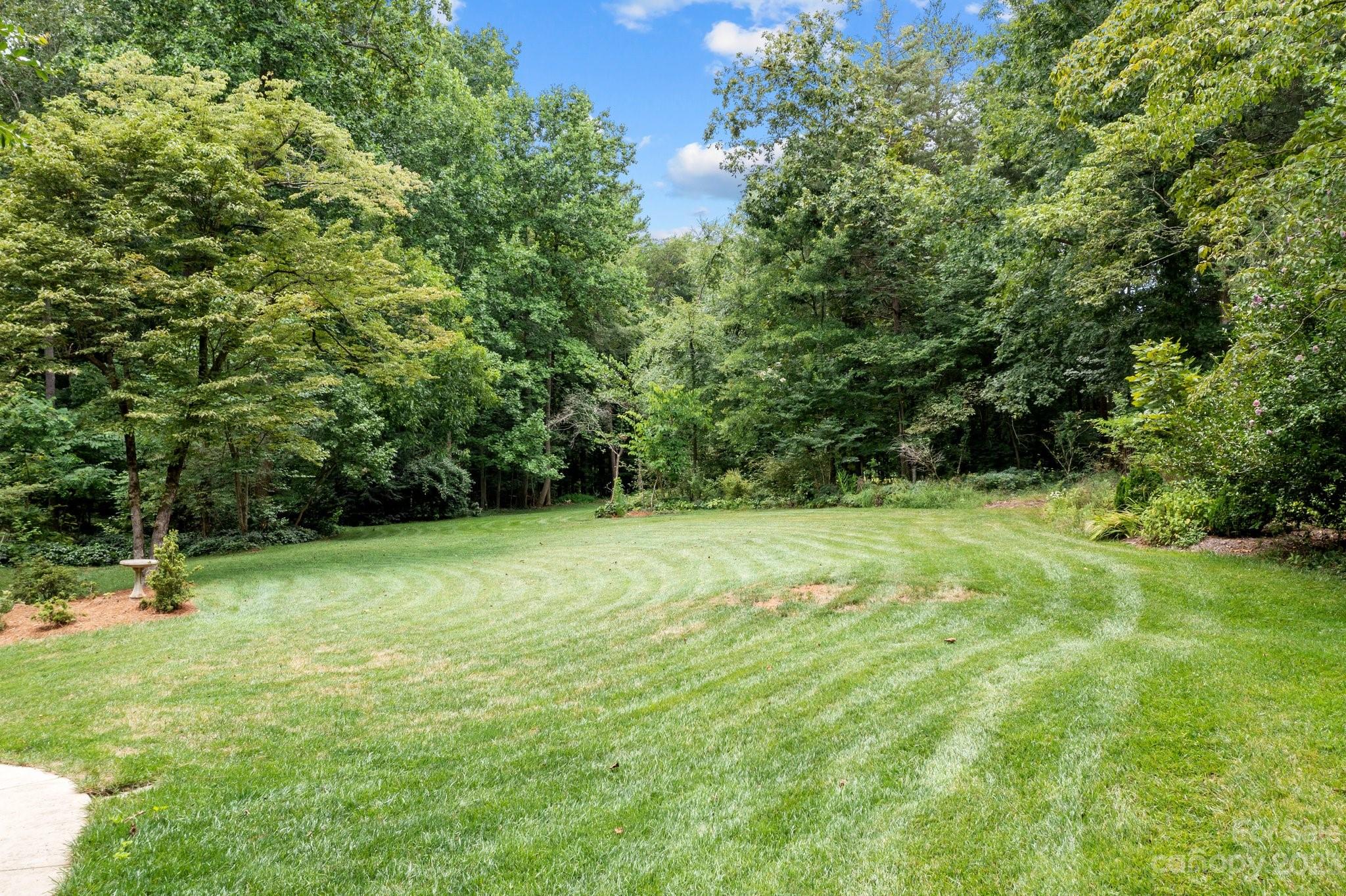5476 Deer Run Court Davidson, NC 28036 - Photo 6 of 48 a backyard of a house with lots of green space