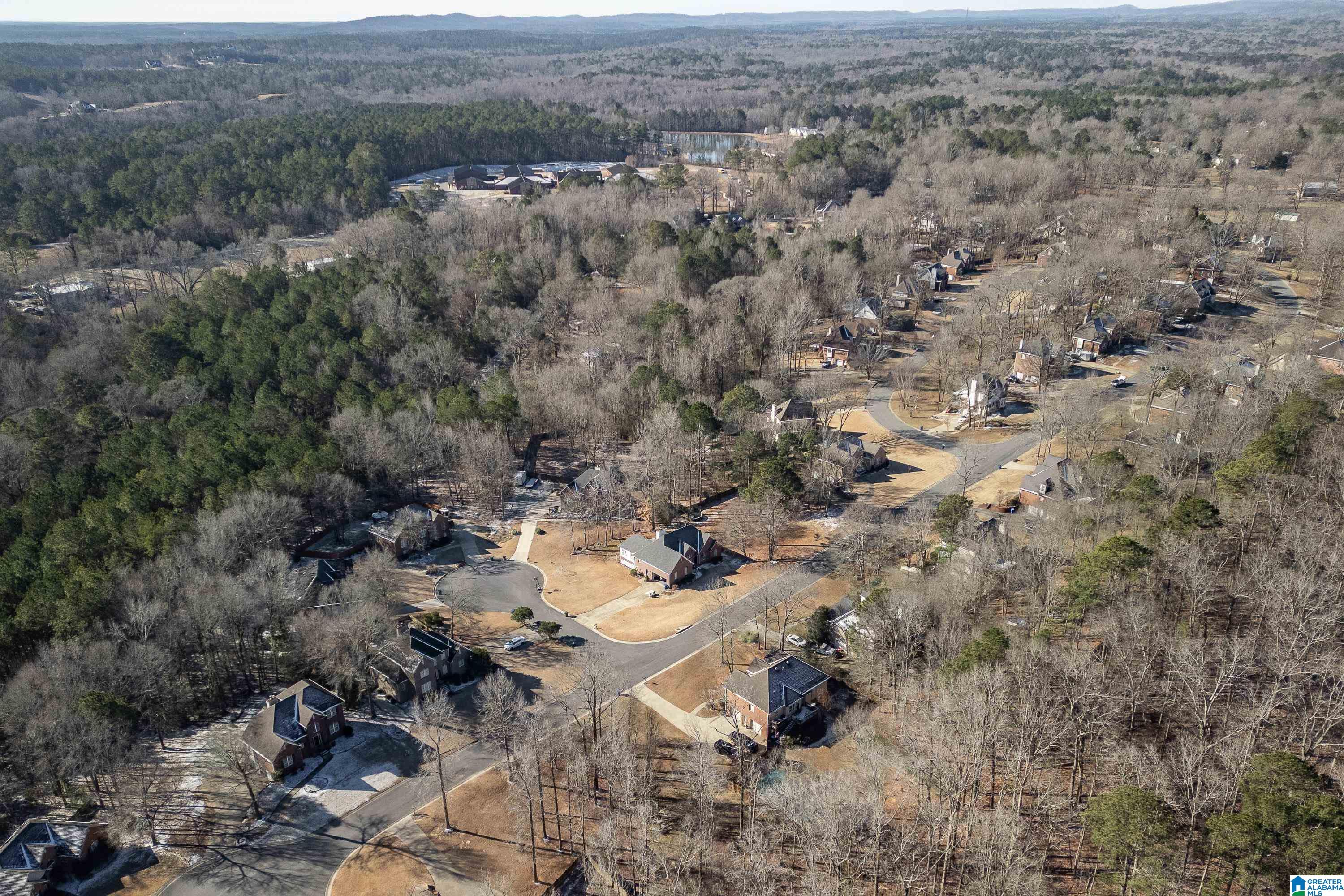 208 Branch Drive Chelsea, AL 35043 - Photo 44 of 46