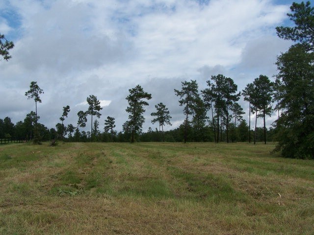 Lot 8 Cedar Ridge Drive Aiken, SC 29803 - Photo 1 of 1