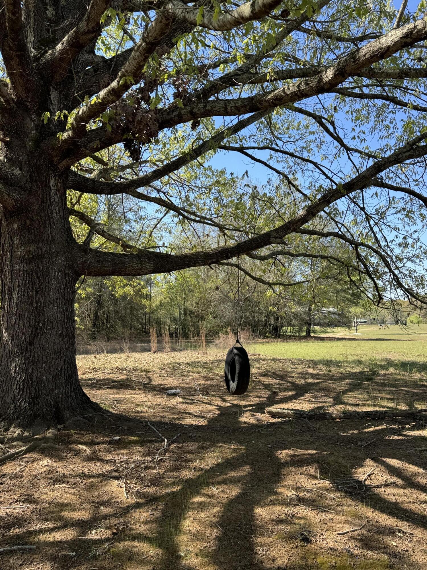 1830 Goslin Pond Road Summerton, SC 29148 - Photo 2 of 6 IMG_9200