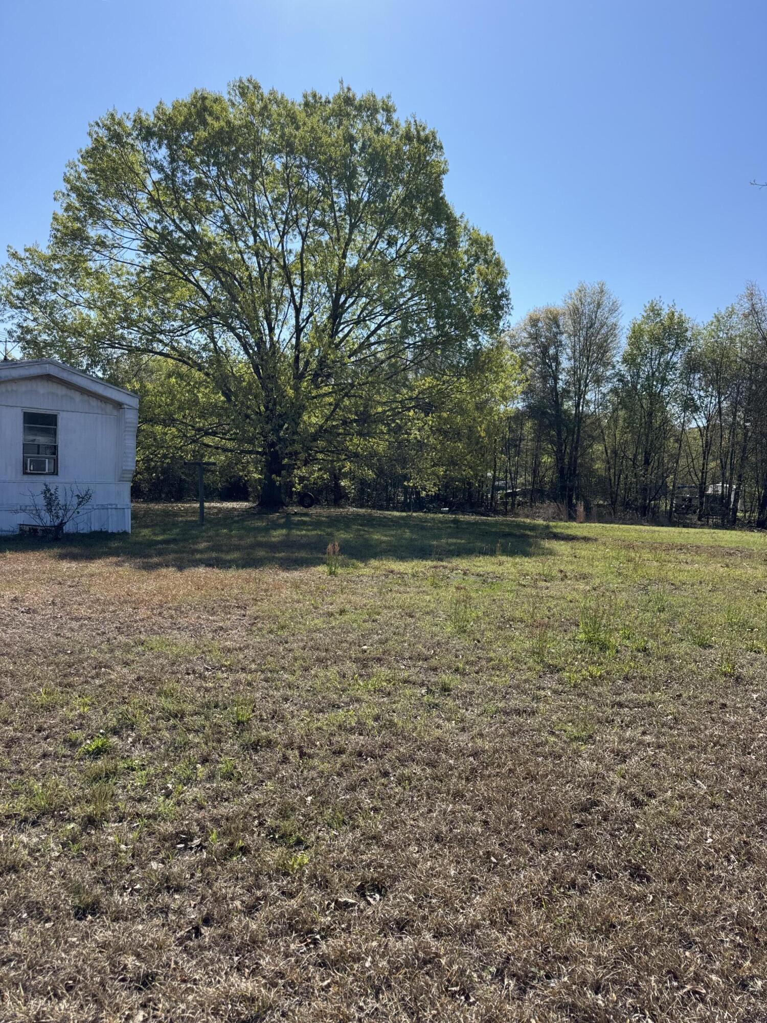 1830 Goslin Pond Road Summerton, SC 29148 - Photo 3 of 6 IMG_9204
