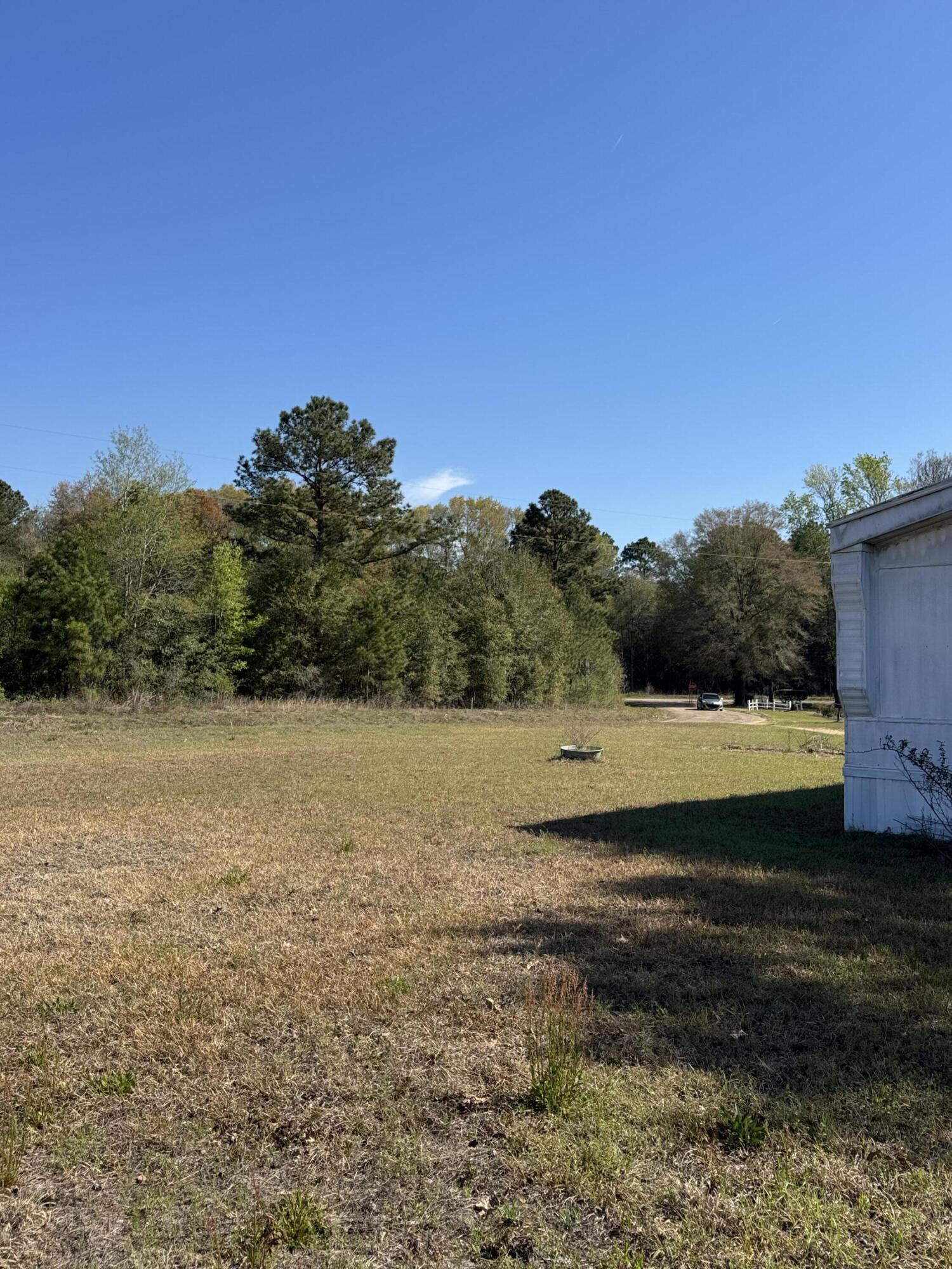 1830 Goslin Pond Road Summerton, SC 29148 - Photo 6 of 6 IMG_9202