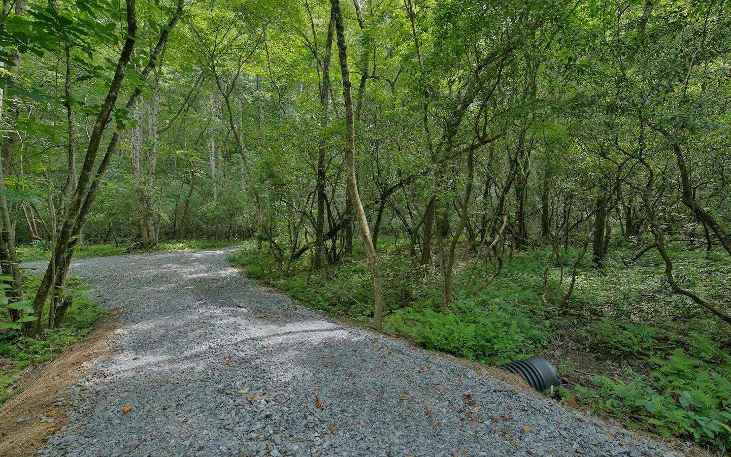 701 George Curtis Road Blue Ridge, GA 30513 - Photo 13 of 25 Additional View