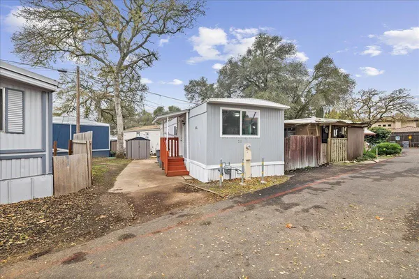 a view of a backyard with large tree
