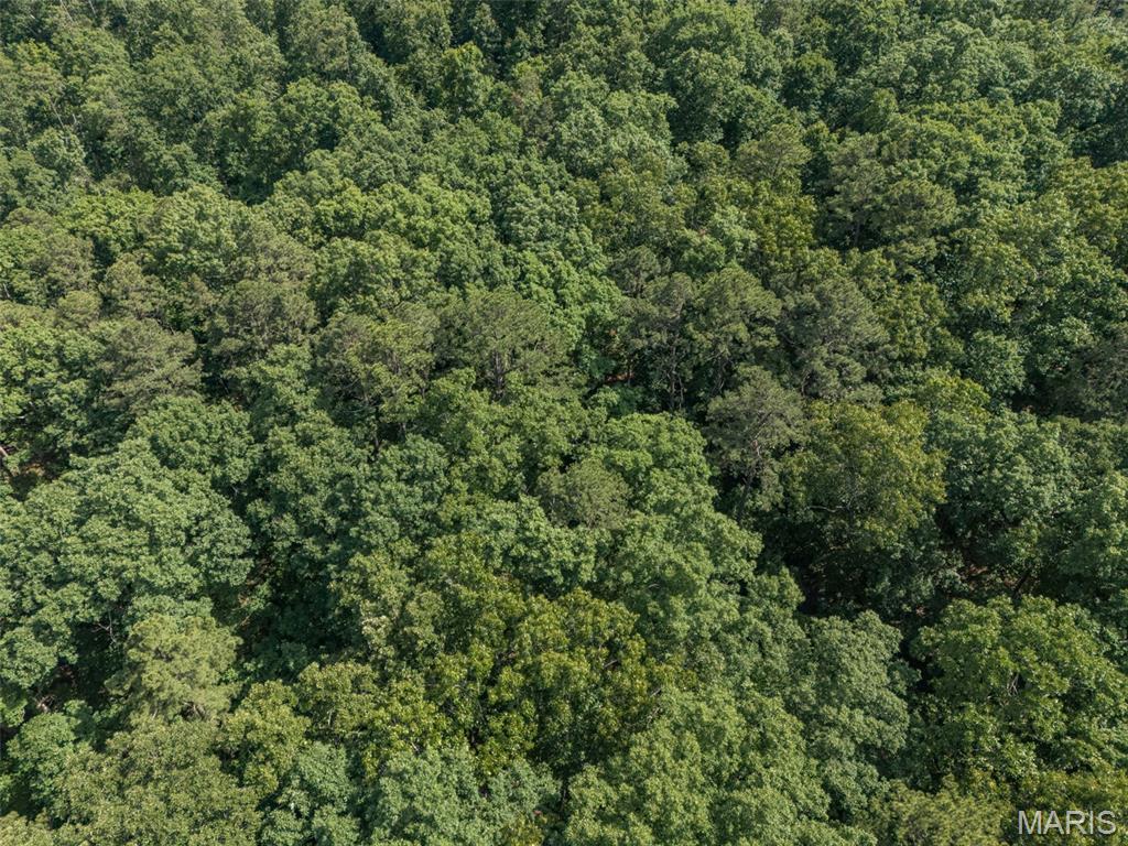 10130 Fish Hook Road Potosi, MO 63664 - Photo 19 of 29