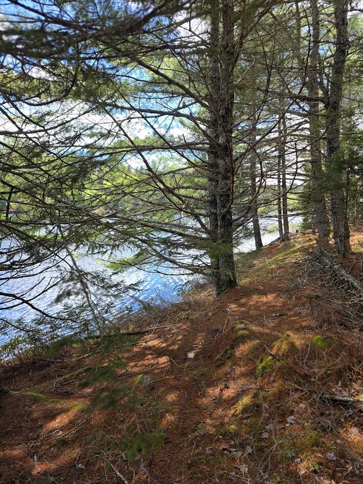 Off Northfield Road Machias, ME 04654 - Photo 34 of 39 20260507_131238