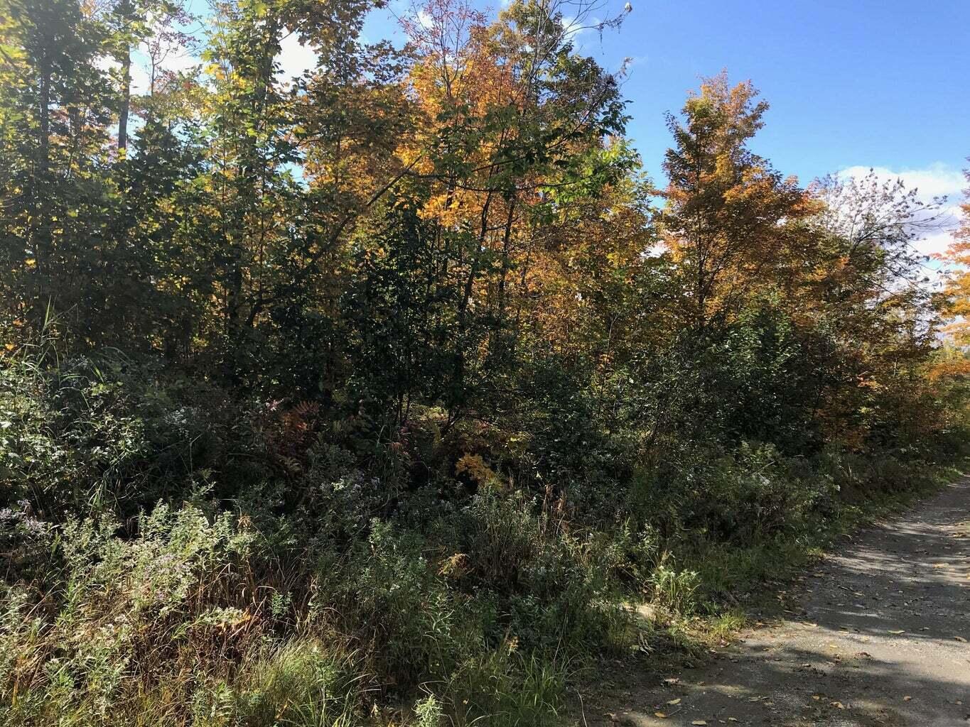 0 Corson Road Parkman, ME 04443 - Photo 2 of 9 20190926191246977515000000-o