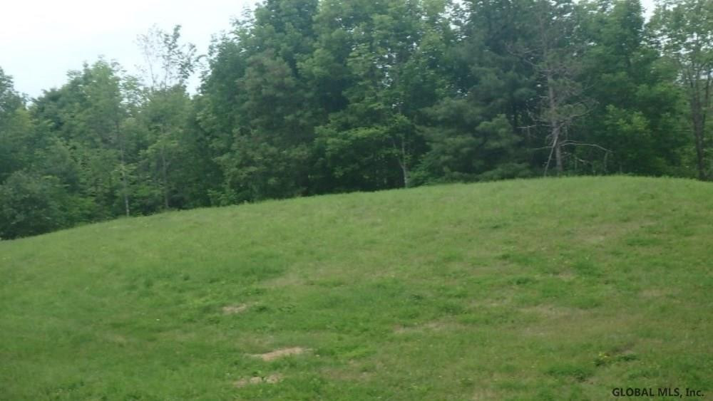 401 Ravine Road Berne, NY 12023 - Photo 3 of 18 Photo 3