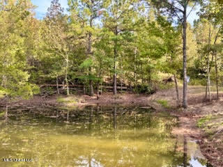 974 Tyro Road Holly Springs, MS 38635 - Photo 11 of 52 unnamed (10)