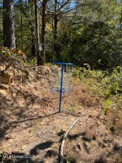 974 Tyro Road Holly Springs, MS 38635 - Photo 45 of 52 unnamed (47)
