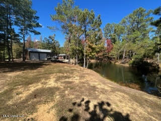 974 Tyro Road Holly Springs, MS 38635 - Photo 46 of 52 unnamed (48)