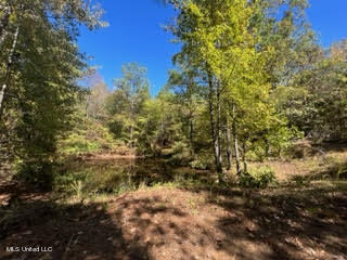 974 Tyro Road Holly Springs, MS 38635 - Photo 48 of 52 unnamed (51)