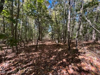 974 Tyro Road Holly Springs, MS 38635 - Photo 49 of 52 unnamed (52)